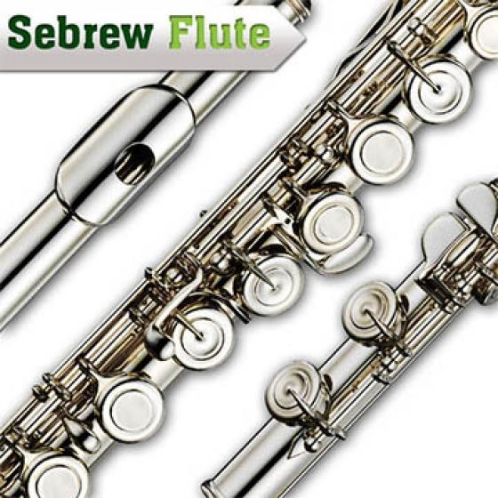 Sebrew - 閉孔長笛，曲列式，16 + E鍵，C調，全配+高級手提皮盒+DVD教學