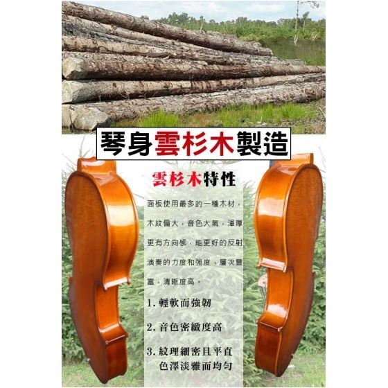 Jazzy - 爵士 雲杉實木小提琴，光澤亮面質感，無染色棗木配備，贈琴盒、琴弓、肩墊等全配